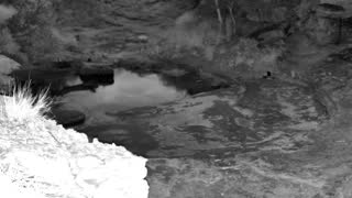 Still 3 from this detection