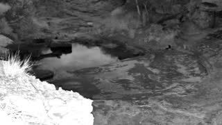 Still 2 from this detection