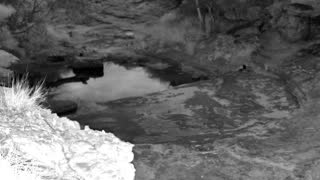 Still 3 from this detection