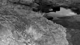 Still 3 from this detection