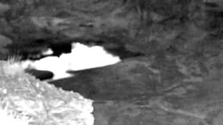 Still 1 from this detection