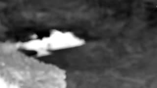 Still 2 from this detection
