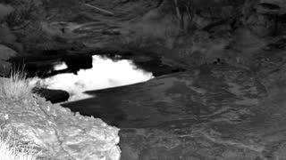Still 3 from this detection