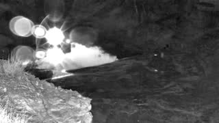 Still 1 from this detection