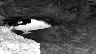 Still 1 from this detection