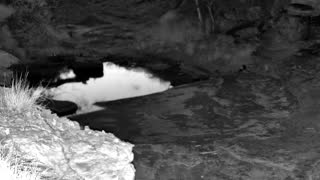Still 2 from this detection