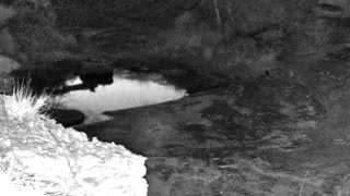 Still 1 from this detection