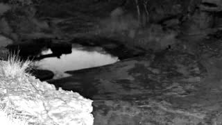 Still 2 from this detection