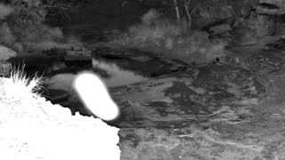 Still 1 from this detection