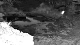Still 2 from this detection