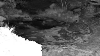 Still 3 from this detection