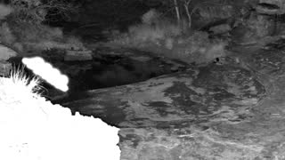 Still 2 from this detection