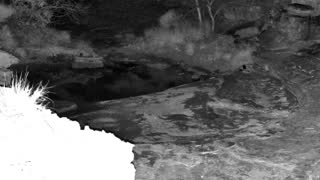 Still 3 from this detection