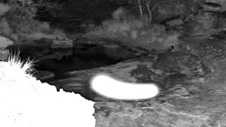 Still 1 from this detection
