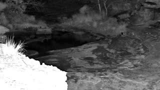 Still 2 from this detection