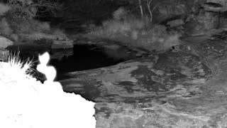 Still 2 from this detection
