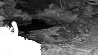 Still 2 from this detection
