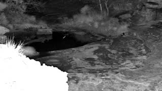 Still 1 from this detection