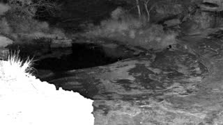 Still 1 from this detection