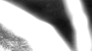 Still 1 from this detection