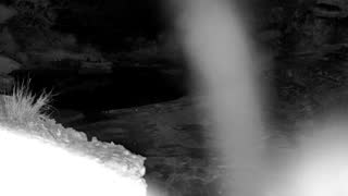 Still 2 from this detection