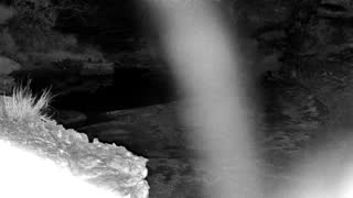 Still 1 from this detection