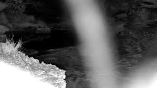 Still 3 from this detection
