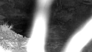 Still 1 from this detection