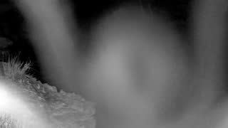 Still 3 from this detection