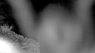 Still 3 from this detection