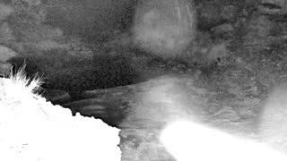 Still 1 from this detection