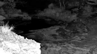 Still 2 from this detection