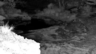 Still 3 from this detection