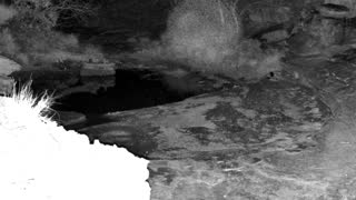 Still 1 from this detection