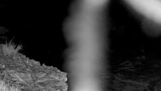 Still 1 from this detection