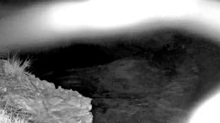 Still 2 from this detection