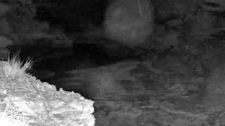 Still 3 from this detection