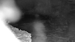 Still 1 from this detection