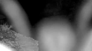 Still 2 from this detection