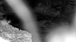 Still 3 from this detection