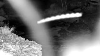 Still 1 from this detection