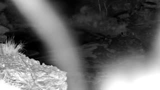 Still 2 from this detection