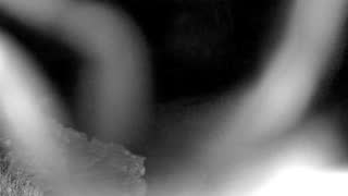 Still 1 from this detection