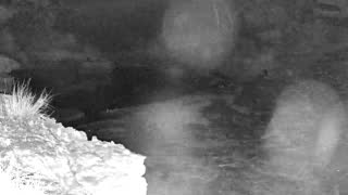 Still 1 from this detection