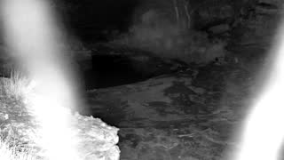 Still 2 from this detection
