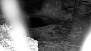 Still 3 from this detection