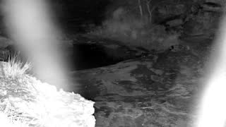 Still 1 from this detection
