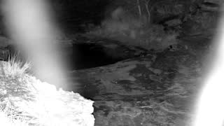 Still 2 from this detection