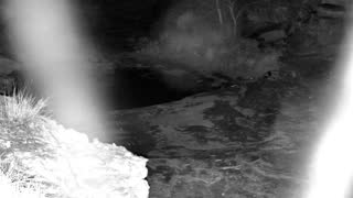 Still 2 from this detection