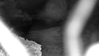 Still 1 from this detection